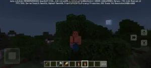 Minecraft 1.21.131 2